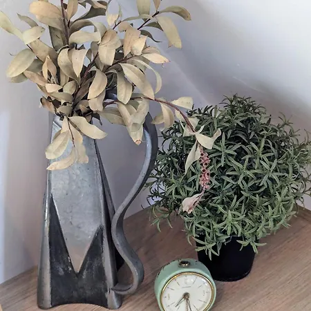 Treehouse - Funky - Terrasse Sur Le Toit - Mezzanine - Full