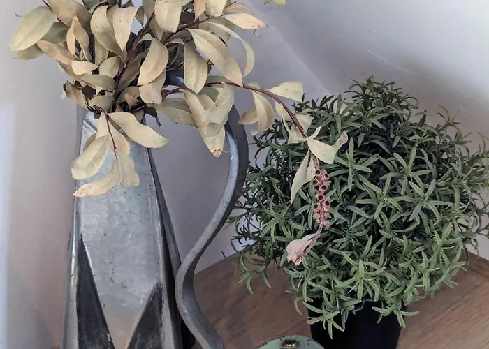 Treehouse - Funky - Terrasse Sur Le Toit - Mezzanine - Full